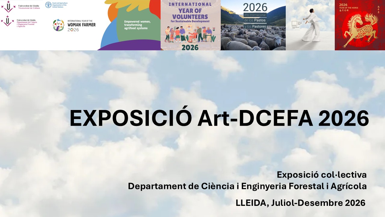 artdcefa2027 banner