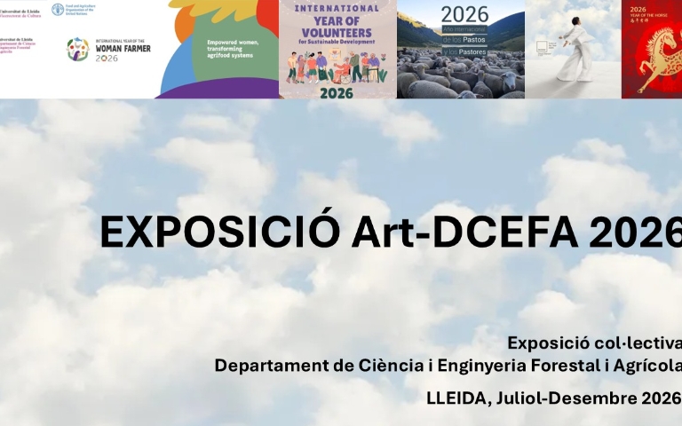 artdcefa2027 banner