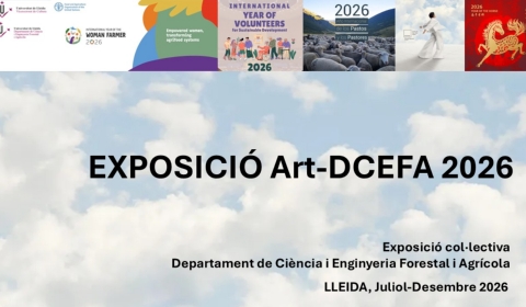 artdcefa2027 banner